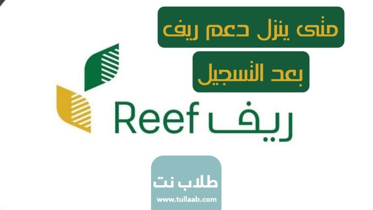 متى ينزل دعم ريف بعد التسجيل