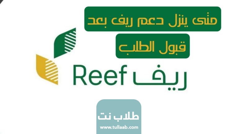متى ينزل دعم ريف بعد قبول الطلب