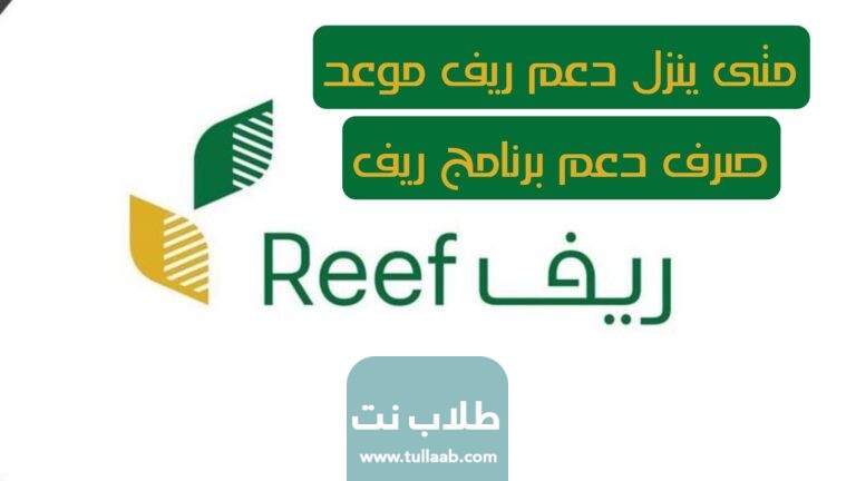 متى ينزل دعم ريف موعد صرف دعم برنامج ريف
