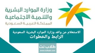 الاستعلام عن وافد وزارة الموارد البشرية السعودية الرابط والخطوات
