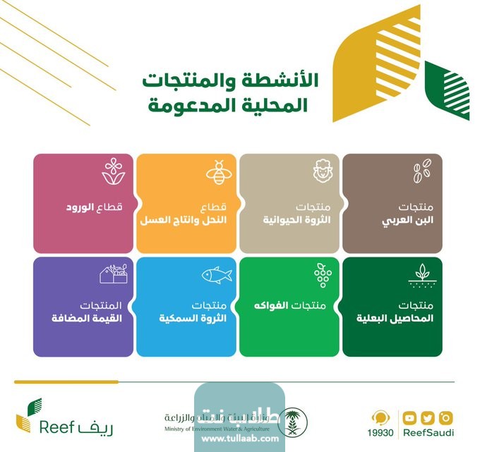 الأنشطة المدعومة في برنامج ريف