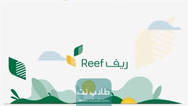 التواصل مع دعم ريف لربات المنازل