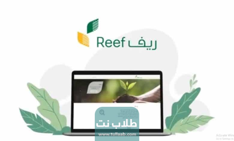 طريقة استعلام عن دعم ريف للاسر المنتجة