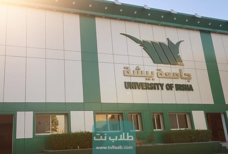 تخصصات وفروع جامعة بيشة