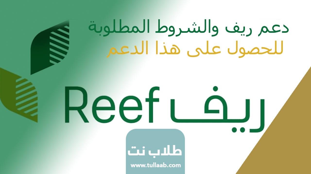 خدمة عملاء دعم ريف