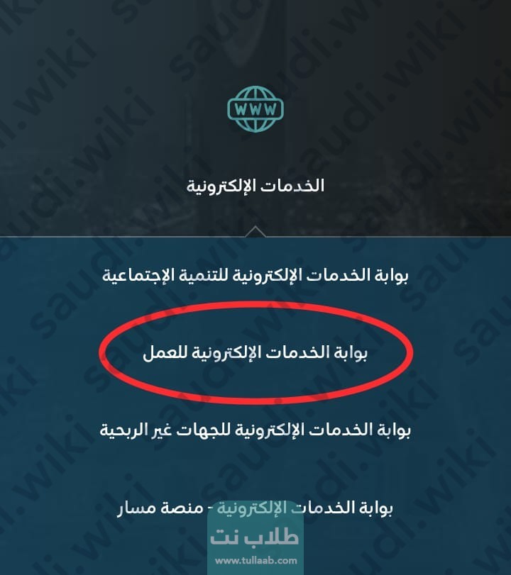 رابط الاستعلام عن تغيير المهنة برقم الاقامة في الجوازات
