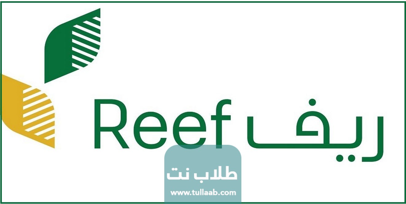 رقم دعم ريف لربات البيوت