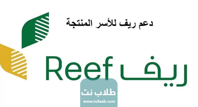 رقم دعم ريف المجاني والموحد
