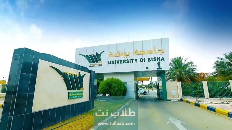 كيفية التسجيل في بلاك بورد جامعة بيشة 1444