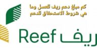 كم مبلغ دعم ريف للعسل وما هي شروط الاستحقاق للدعم