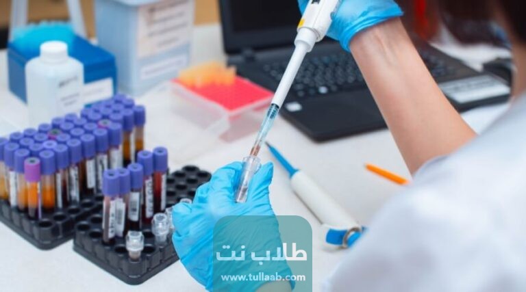 نتائج فحوصات قبل الزواج