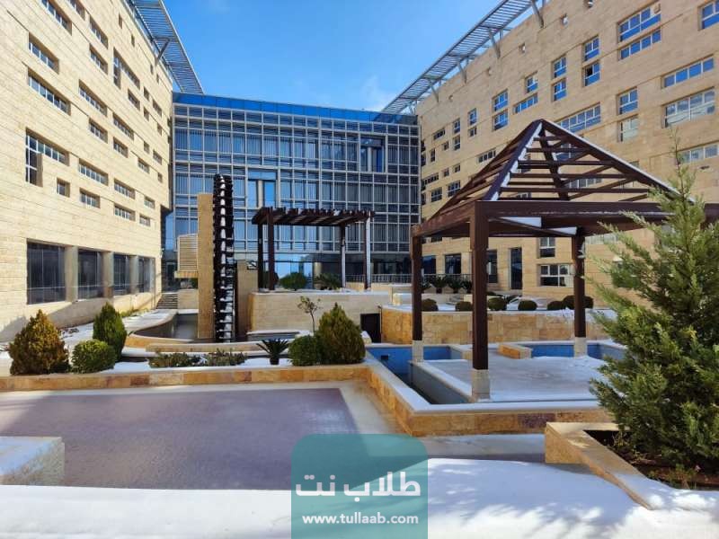 نسب القبول في الجامعة الألمانية الأردنية لجميع التخصصات