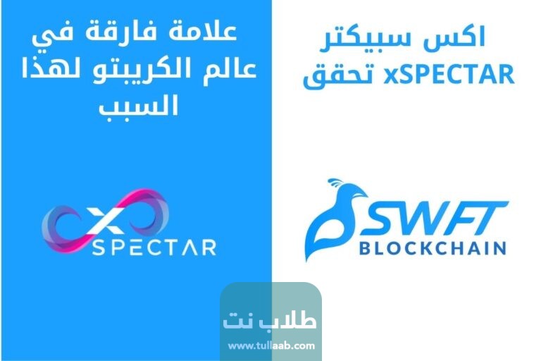 اكس سبيكتر xSPECTAR تحقق علامة فارقة في عالم الكريبتو لهذا السبب