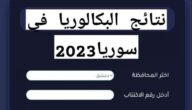 رسميا.. رابط نتائج البكالوريا سوريا 2023 برقم الاكتتاب والاسم عبر موقع وزارة التربية السورية moed.gov.sy