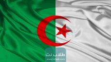 نتائج البكالوريا 2023 في الجزائر