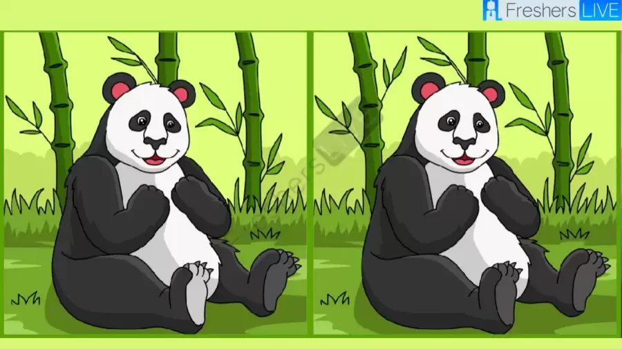 فقط العيون الحادة يمكنها اكتشاف الاختلافات الثلاثة في صورة الباندا خلال 12 ثانية 651bf09d67dcf91637765 900