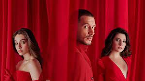 شاشة فيديو عالية الدقة عدد 1 قناة