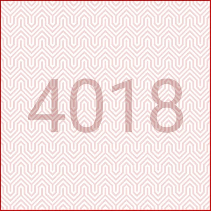 العثور على حل الرقم المخفي