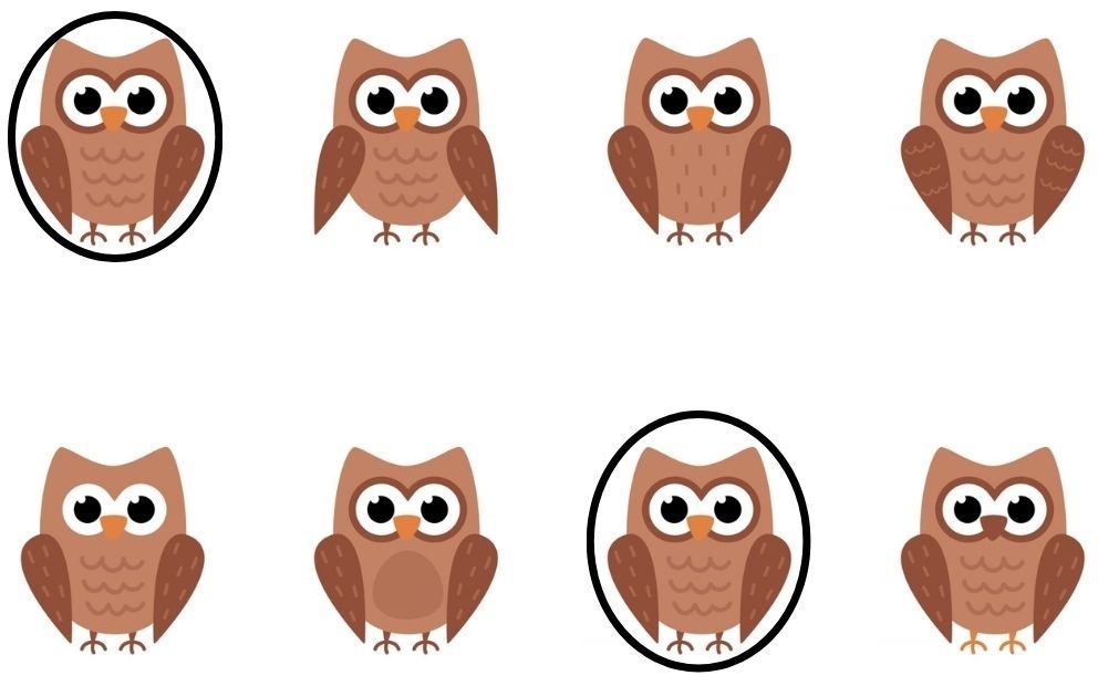 "لو لماح هتحلها".. هل يمكنك العثور على بومتين متطابقين في 11 ثانية؟ 4 11 يوم!