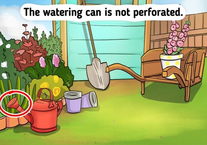 "لغز شارلوك هولمز".. هل يمكنك اكتشاف الخطأ في الصورة خلال 15 ساعة 4 اختبر قوة ملاحظتك.. وأعثر على الخطأ في الصورة في 15 ثانية!