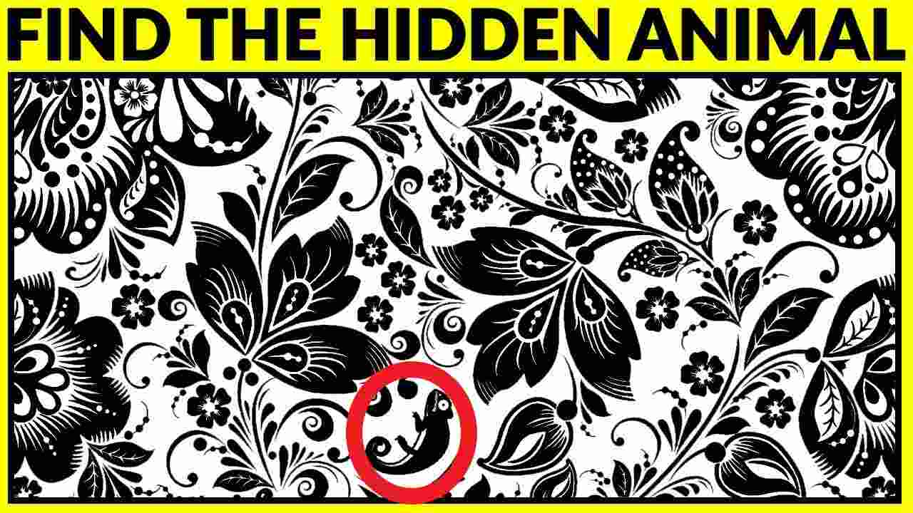 العثور على الحيوان المخفي في حل باتن