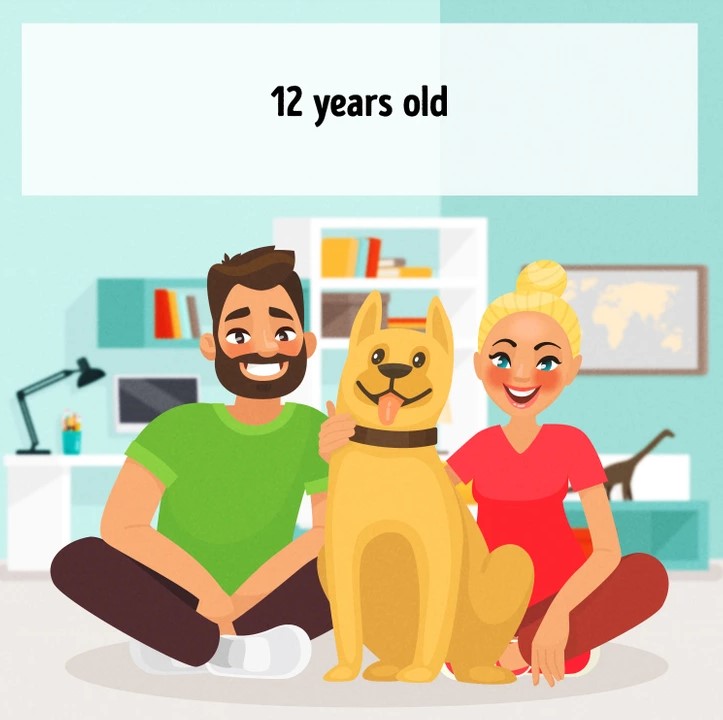 “لللعبة فقط”. 4 احسب عمر الكلاب في الصورة، لغز اختبار الذكاء، الإجابة