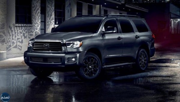 معنى كلمة سكويا