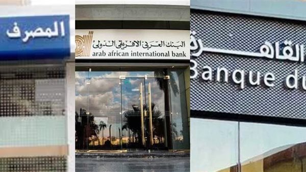 فرصة للاستثمار والربح الخيالي.. الحكومة تستعد لبيع 3 بنوك للقطاع الخاص