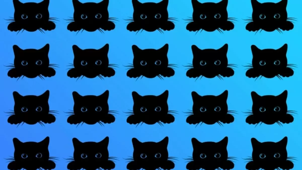 «لغز عايز نظر 6/6».. هل يمكنك رؤية القط المختلف المختبئ خلال 15 ثانية؟