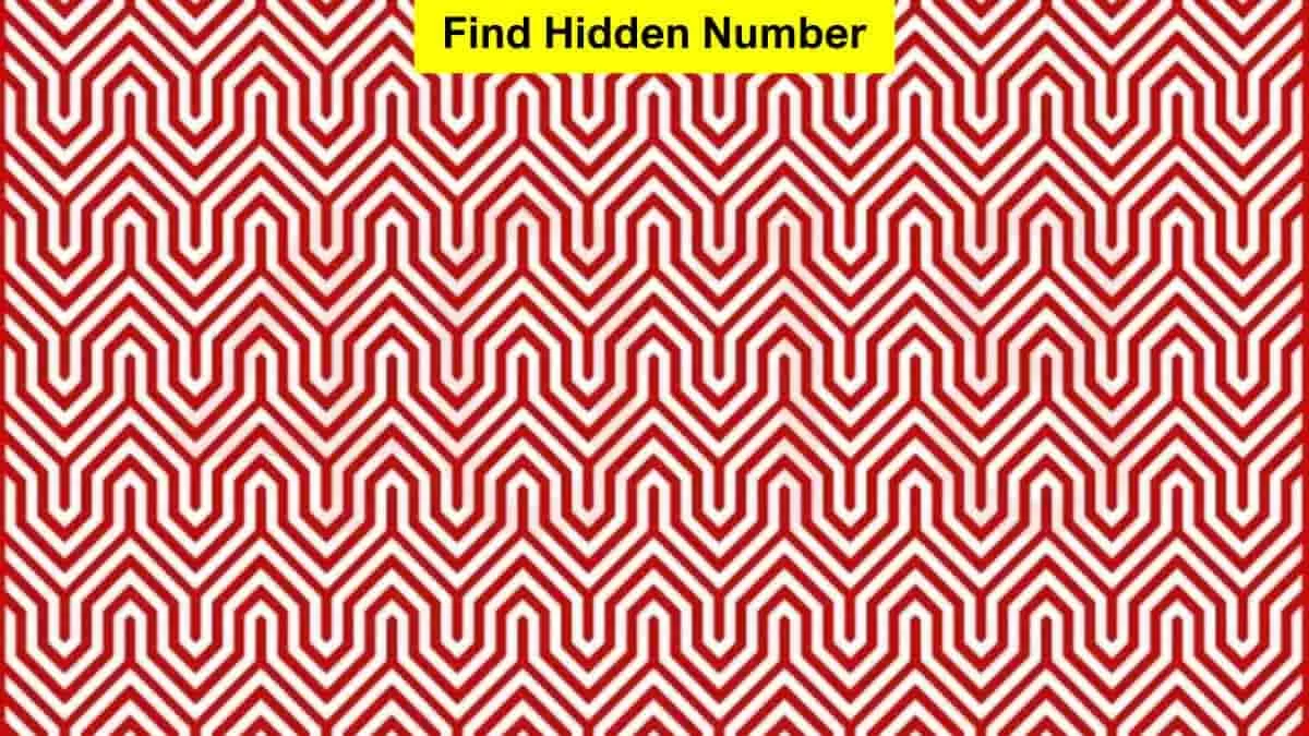 «أتحداك لو عرفت تحل اللغز».. هل يمكنك اكتشاف الرقم المخفي خلال 3 ثوانٍ؟