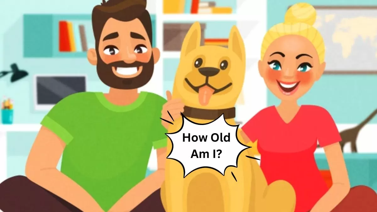 «للعباقرة فقط».. هل يمكنك معرفة عمر الكلب خلال 15 ثانية؟