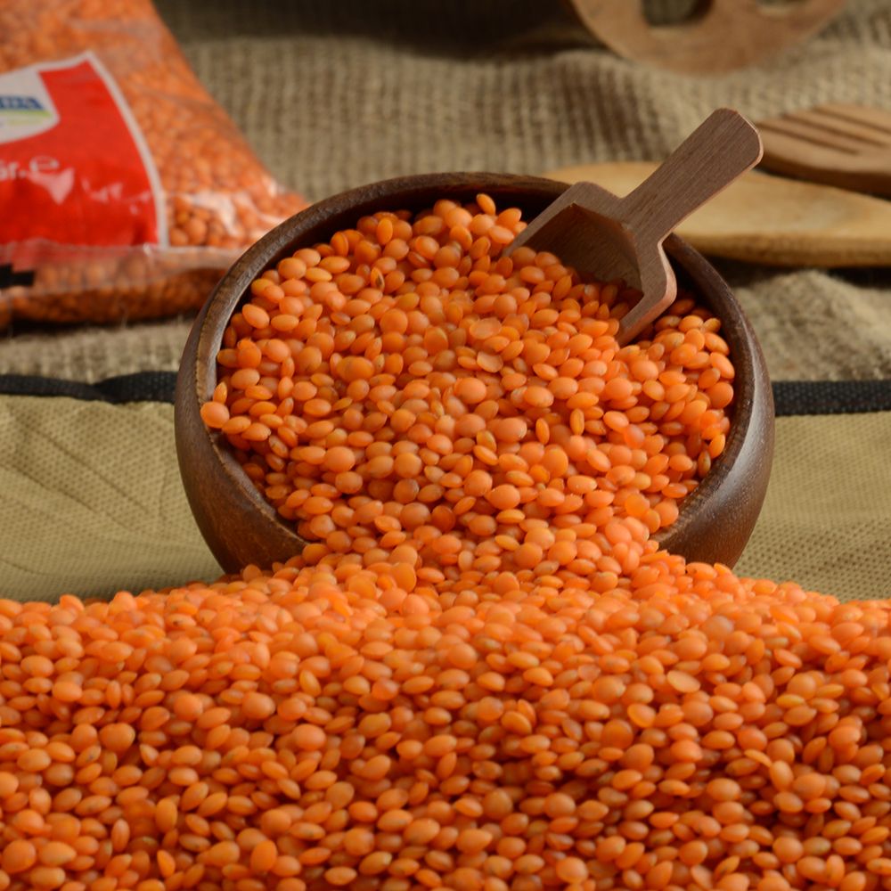 الكليو بكام النهاردة… أسعار العدس اليوم الإثنين 20 نوفمبر 2023 في الأسواق