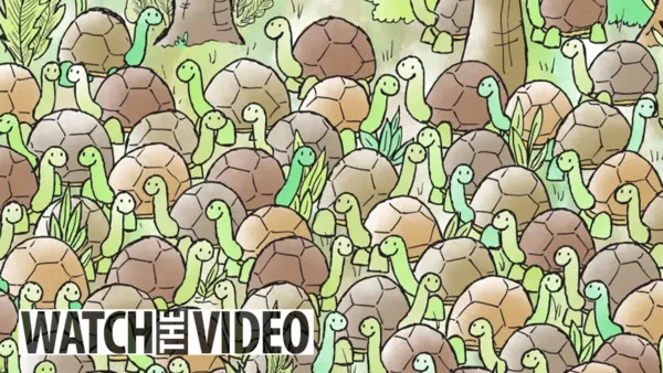 «لازم يكون نظرك 20/20».. هل يمكنك العثور على ثعبان مختبئ بين السلاحف خلال 20 ثانية؟