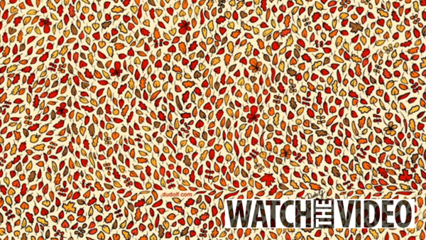 «لأصحاب الرؤية الثاقبة».. هل يمكنك اكتشاف 4 تفاحات بين أوراق الشجر خلال 15 ثانية؟