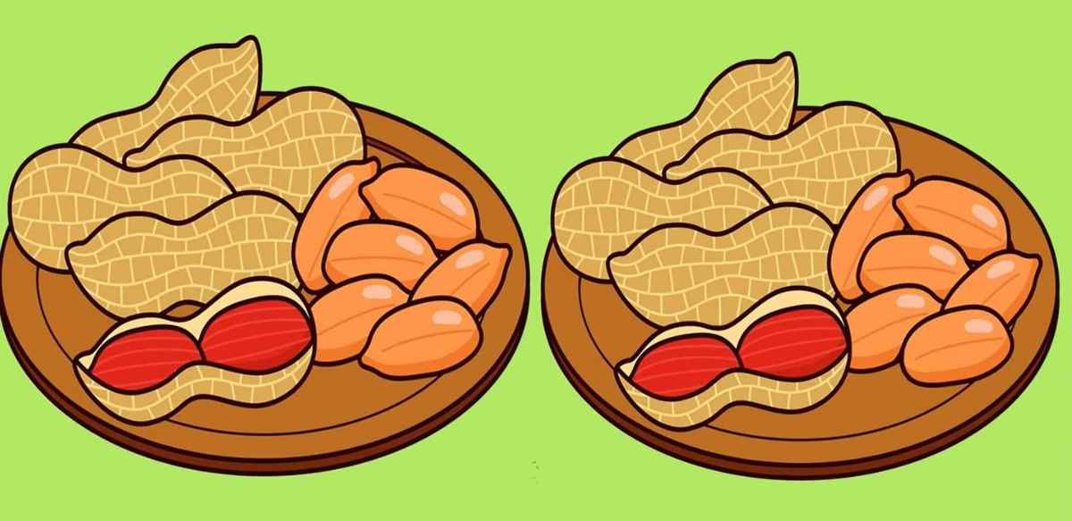 «المنتجات تستخدم لمدة 2» و 3 تستخدم لمدة 3 مرات. ؟ 3 اكتشف 3 اختلافات بين الفول السوداني