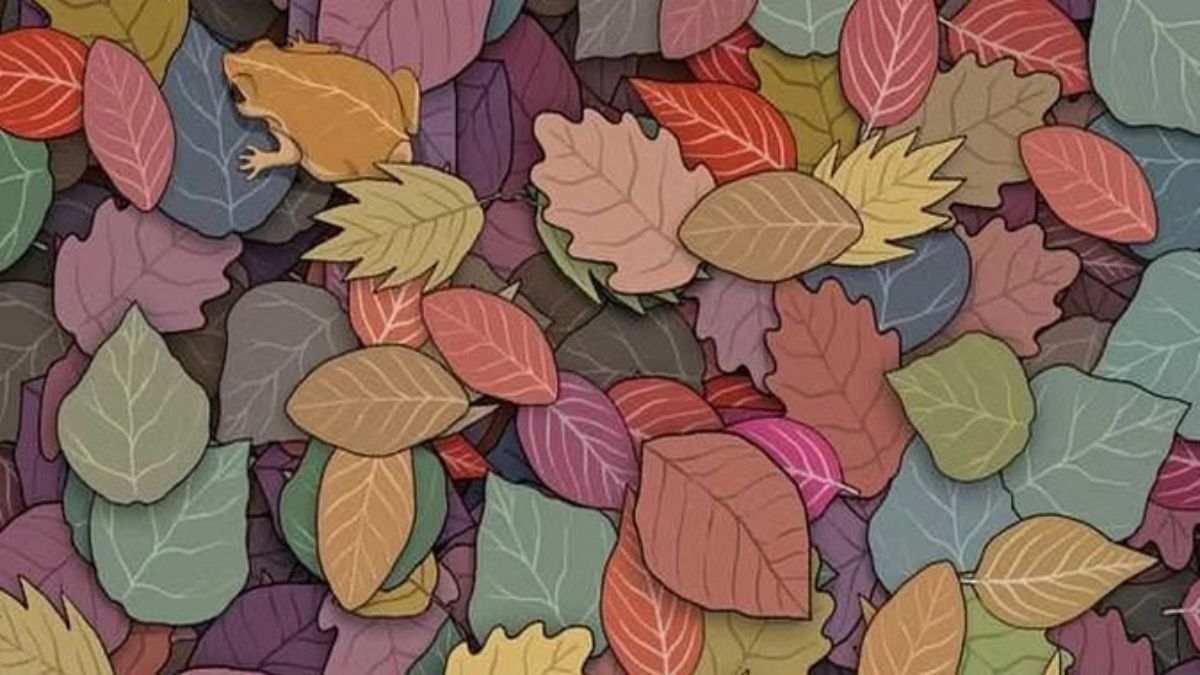 خدع بصرية حيوانات مخفية