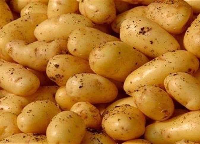 تخلص منها على البكتيريا التي تنتشر بالأسواق 3 مبشرة