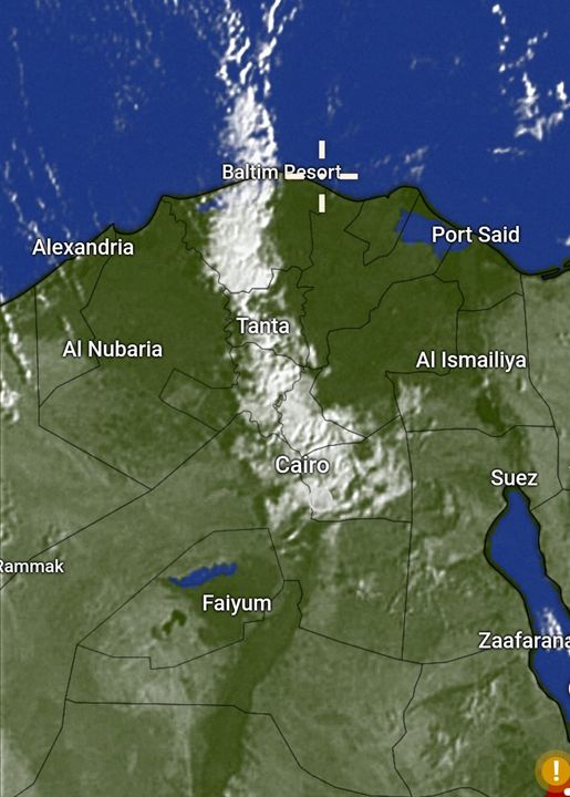 حالة الطقس غدا.. شبورة مائية كثيفة ومطار غزيرة وراديا ط للرياح 4 تكاثر الصغار الأقل شهرة مناطق متعددة من الوجه البحري والقاهرة الكبرى يصاحبها سقوط أمطار متفاوتة الأقلية