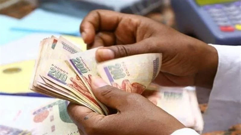 بشرى سارة للعاملين.. صرف مرتبات نوفمبر بالزيادة الجديدة في هذا الموعد