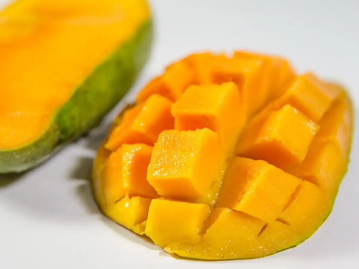 «إن الماء في الهواء» 3 اخبار الامارات 2022 12 27 22 53 59 433986