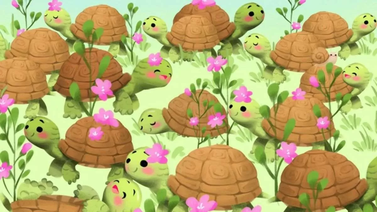 “يلزمك نظر من حديد”.. هل يمكنك العثور على الحلزون المخفي في 7 ثواني؟