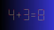 «لغز صعب جدًا».. هل يمكنك إصلاح المعادلة الرياضية بتحريك عودي ثقاب فقط؟ 