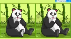 «لغز عايز حد لماح».. هل يمكنك اكتشاف 3 اختلافات بين صور الباندا خلال 12 ثانية؟ 