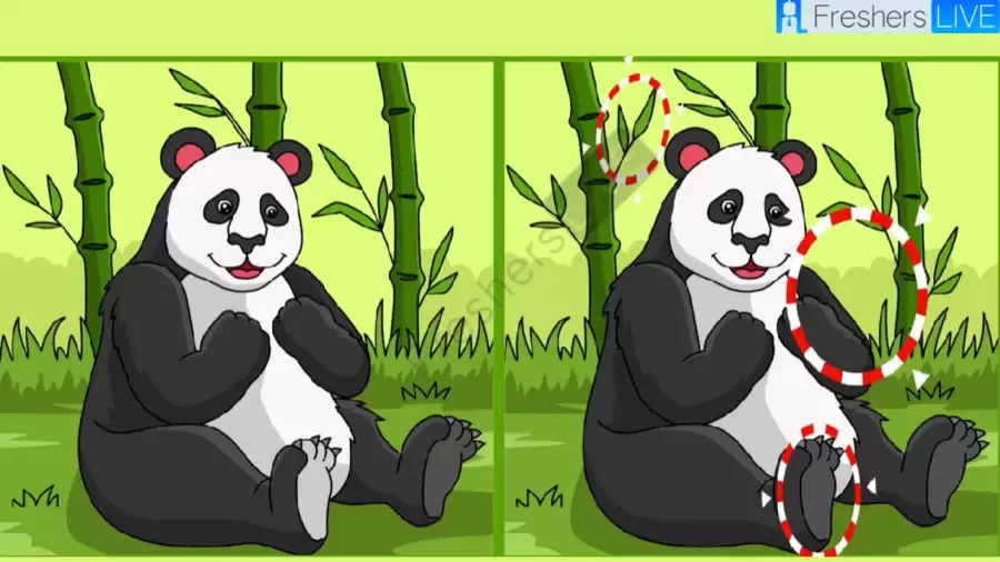 ز 651bebb72f0a583911822 900