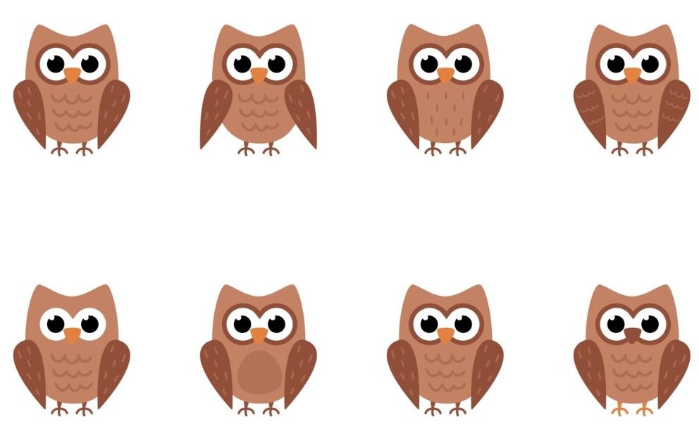 "لو لماح هتحلها".. هل يمكنك العثور على بومتين متطابقين في 11 ثانية؟ 3 11 يوم!