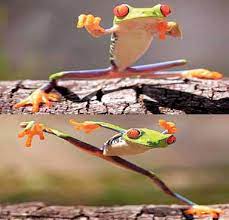 قسم الضفدع والبنت