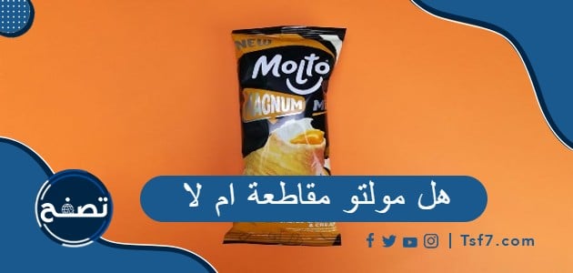 هل فيوري مقاطعة ام لا وما هي فيوري