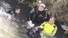 الإنقاذ النهري ينتشل جثة مجهول بمجرى مائي في المنيا