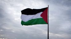 “فلسطين لفلسطين وسيناء للمصريين” بتعليم الوادي الجديد