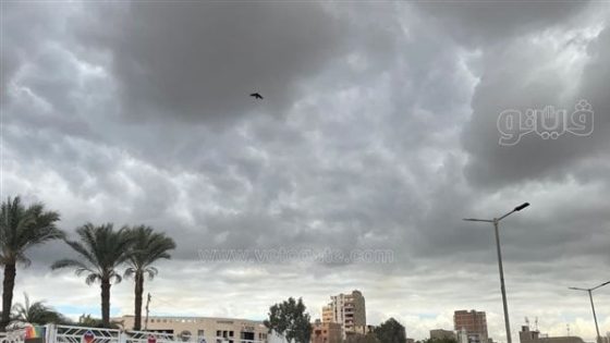 حالة الطقس ودرجات الحرارة اليوم الأحد 31-12-2023 فى مصر